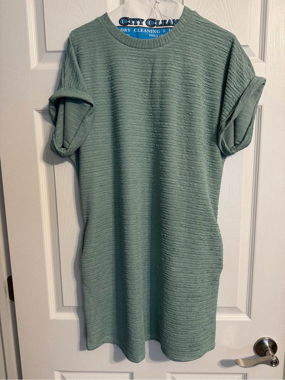 Sage Textured Short Sleeve Shift Dress